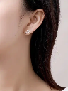Dolphin on ear