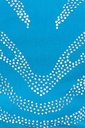 Zebra Rhinestone Dress Close
