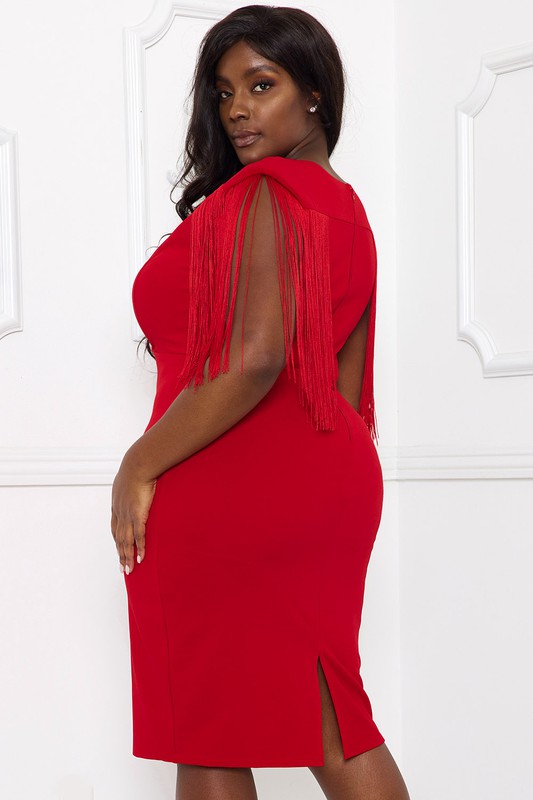 Fringe Sleeve Dress Back