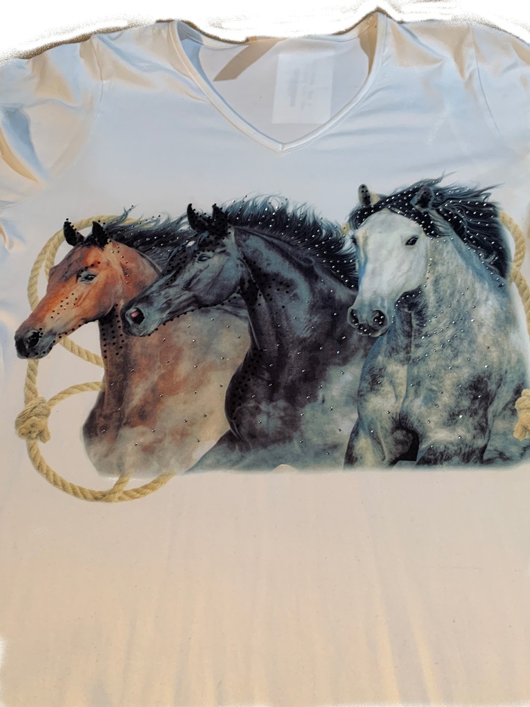  Three Horses 