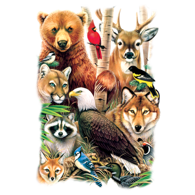 A Magic North America Toddler's T-shirt