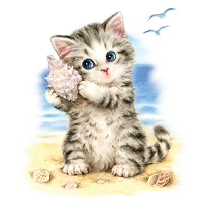 Sea Shell Kitten Youth (Light Blue, X-Small)