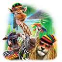 Montego Bay Adult Gray