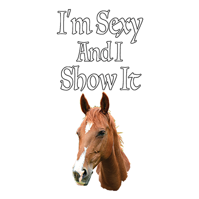 Show It Horse Adult