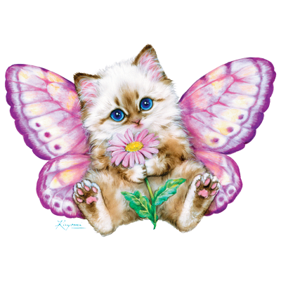 Butterfly Youth