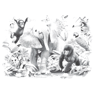 Junior Jungle Youth