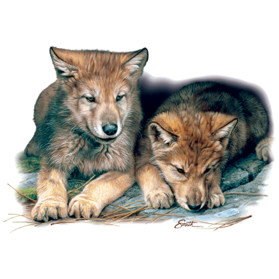 Wolf Cubs Youth