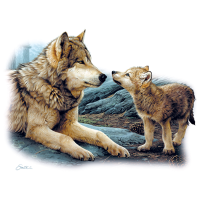 Brother Wolf Toddler