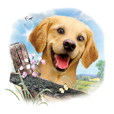 Golden Retriever Toddler