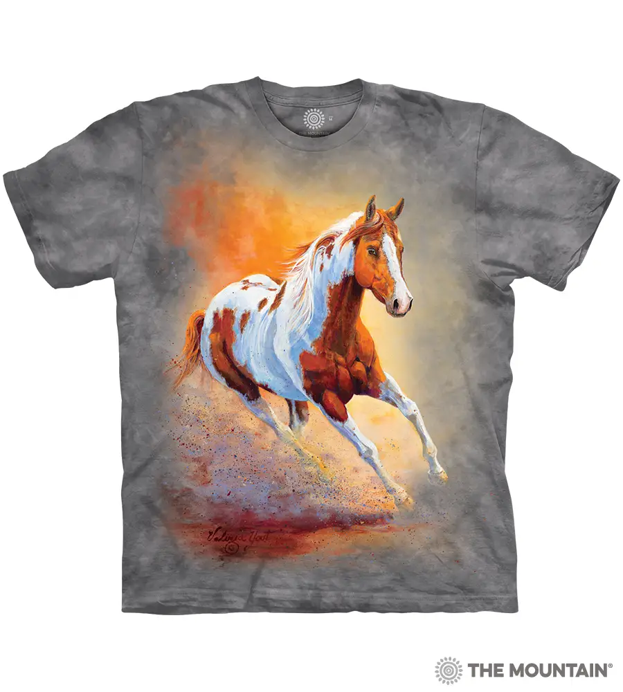  Sunset Gallop